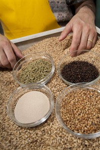 Grains-For-Brewing