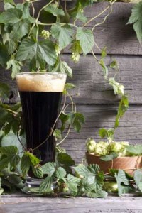 Hops-and-Dark-Beer