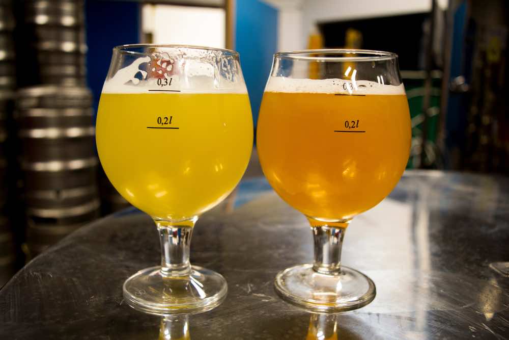 Two goblets of Berliner Weisse Beer.