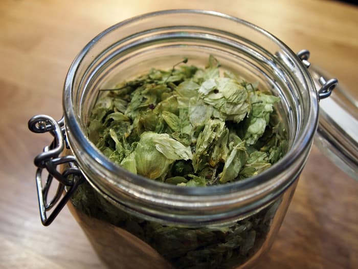 Jar of dried hops cones.