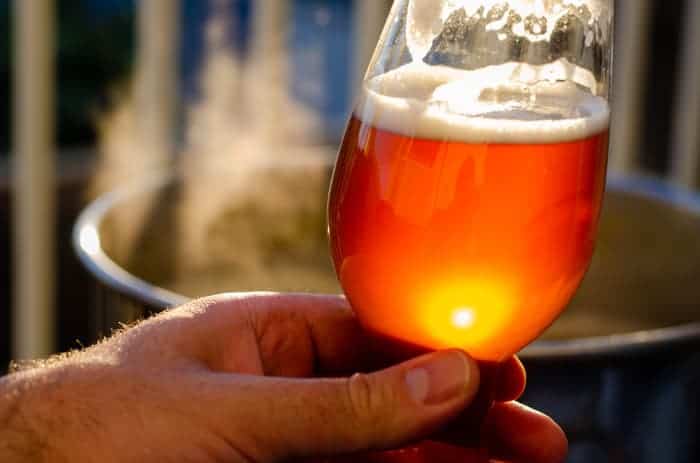 Closeup of person holding glass of home brew beer in sunlight.