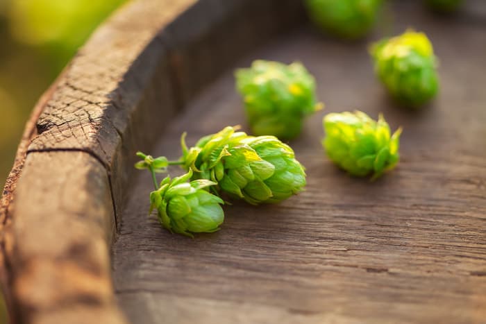 Hops cones on top of a barrel.