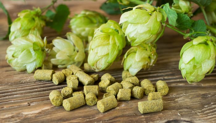 Hops cones and hops pellets.