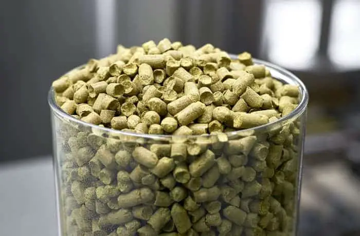 A glass container of hops pellets.