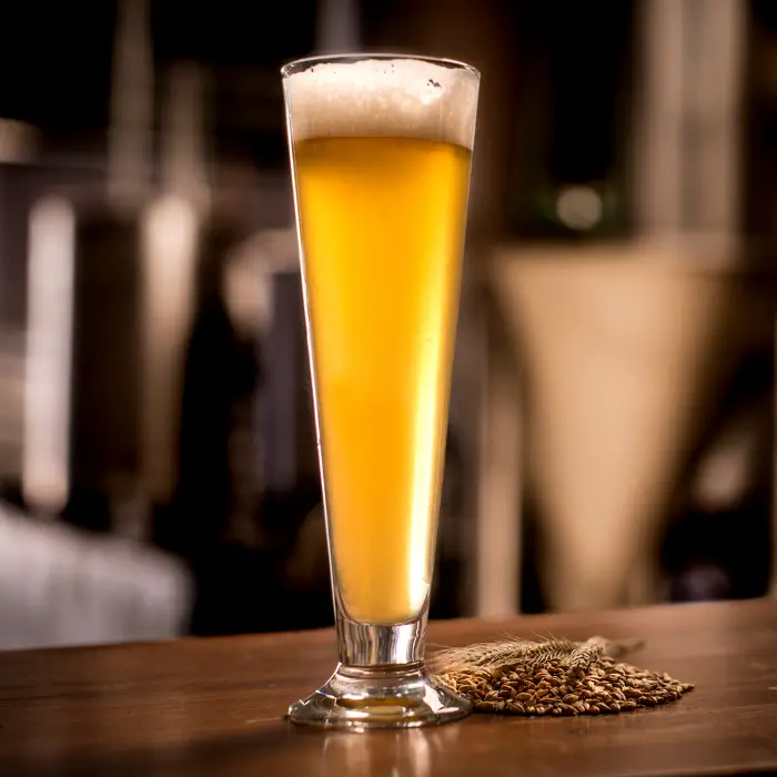A tall glass of light-colored beer.