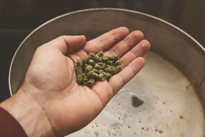 Man adding dried hops pellets to home brew.