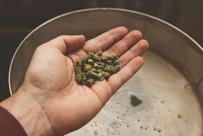 Man adding dried hops pellets to home brew.