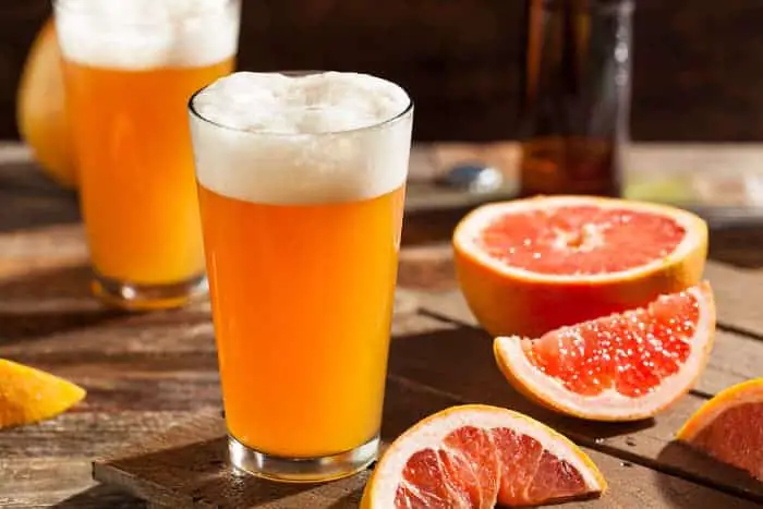 Glasses of grapefruit flavored beer.  Sabro hops are used to make fruit beers, IPAs, Porter, and Stouts.