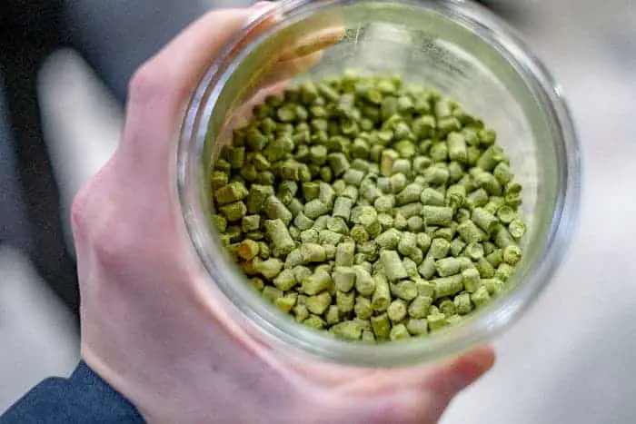 Person holding glass container of dried hops pellets.