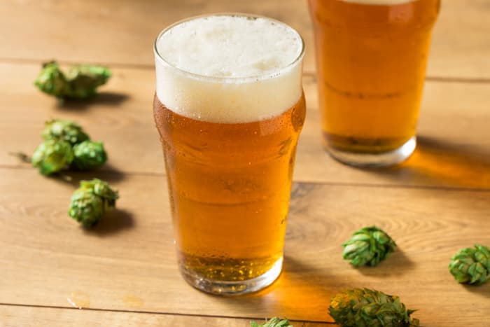 Two glasses of golden colored beer and hops on the table.