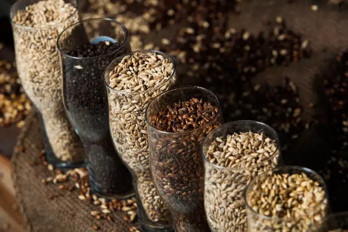 Glasses of malts and grains for beer making.
