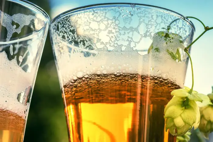 Closeup of glass of beer with fresh hops hanging over the edge of the glass.