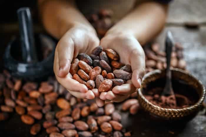 Person holding handful of roasted cacao beans.
