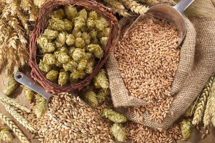 Traditional beer-making ingredients -- hops, malt, barley, grains.