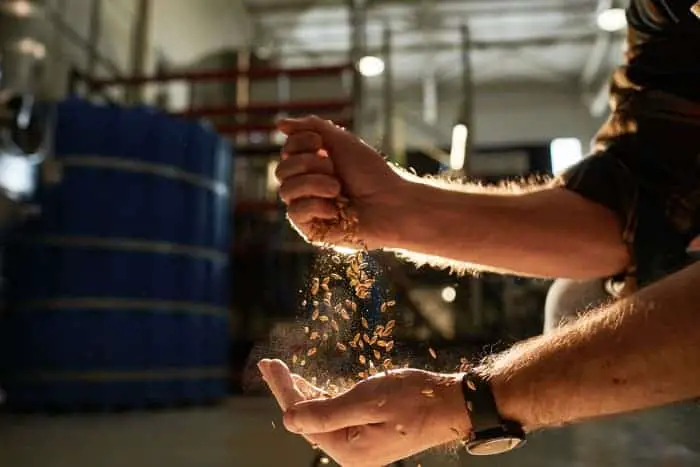 Man dropping beer brewing grains from one hand to the other.