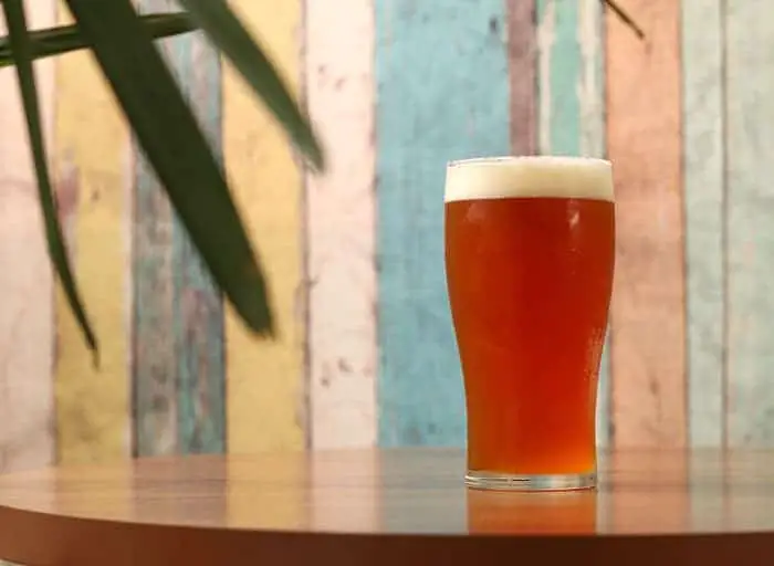 A glass of IPA beer.