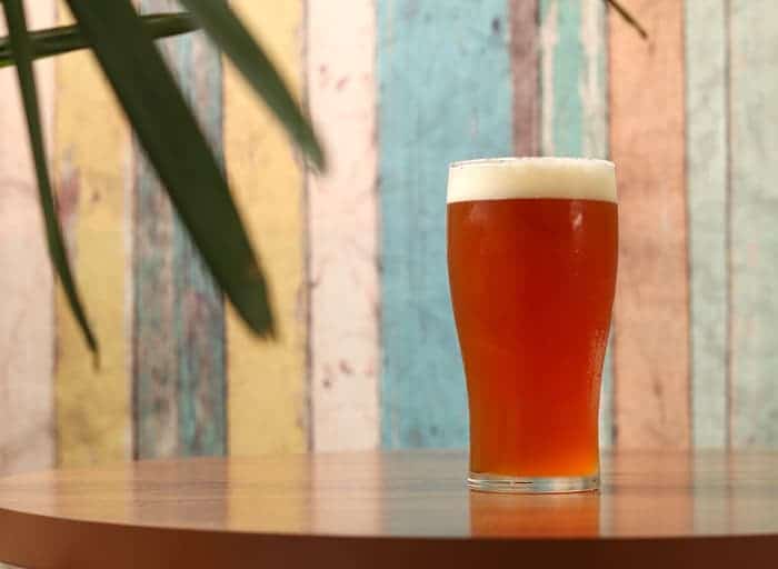 A pint glass of IPA beer, resembling the English IPA beer style.