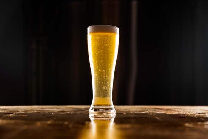 A Pilsner glass of light colored beer, similar to a Bohemian pilsner beer.